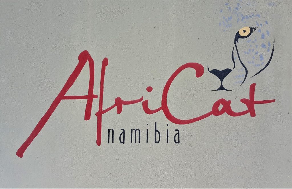 Africat Foundation