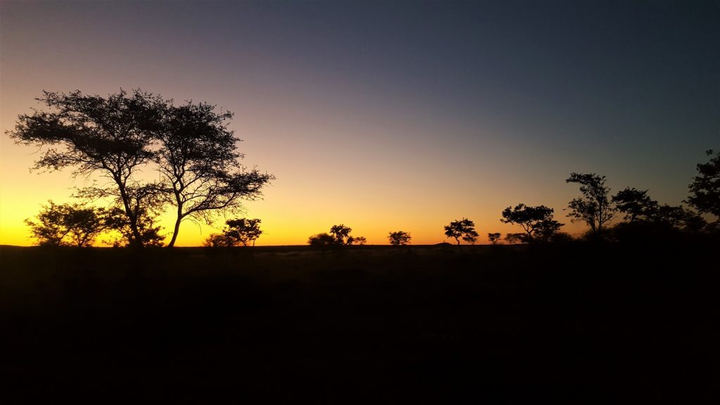 Okonjima Natural Reserve