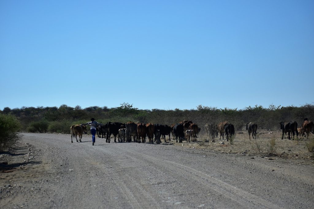 Route C40 Namibie