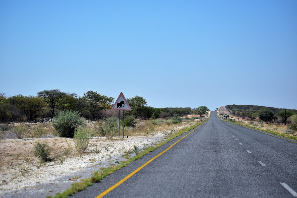 C38 Namibie Etosha