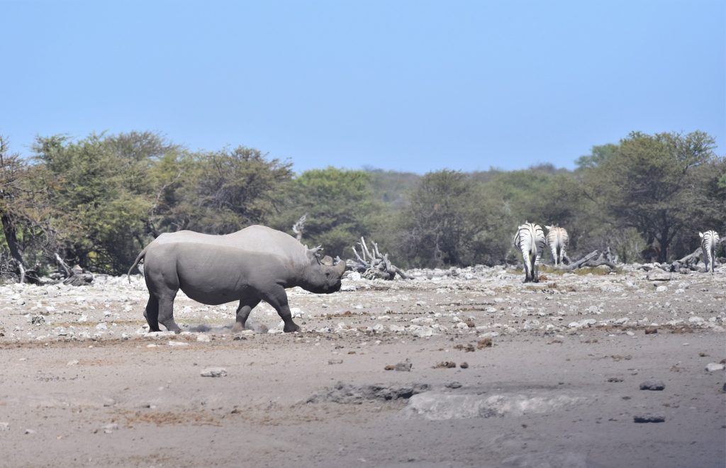 Etosha