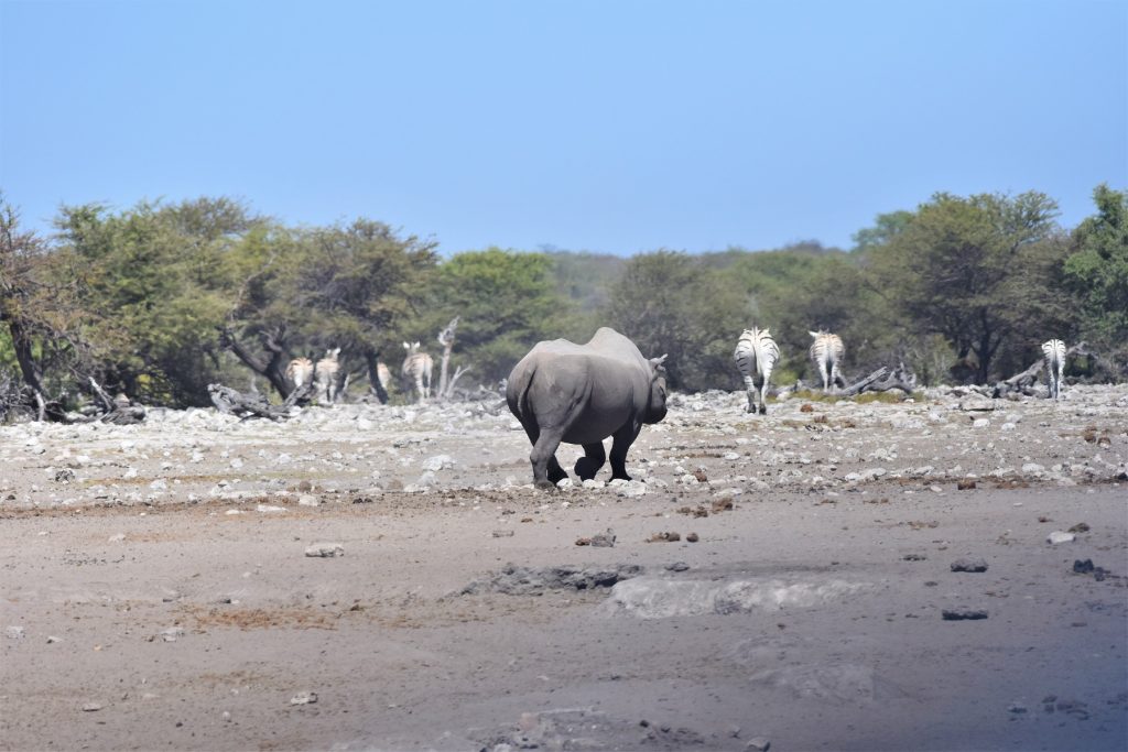 Etosha