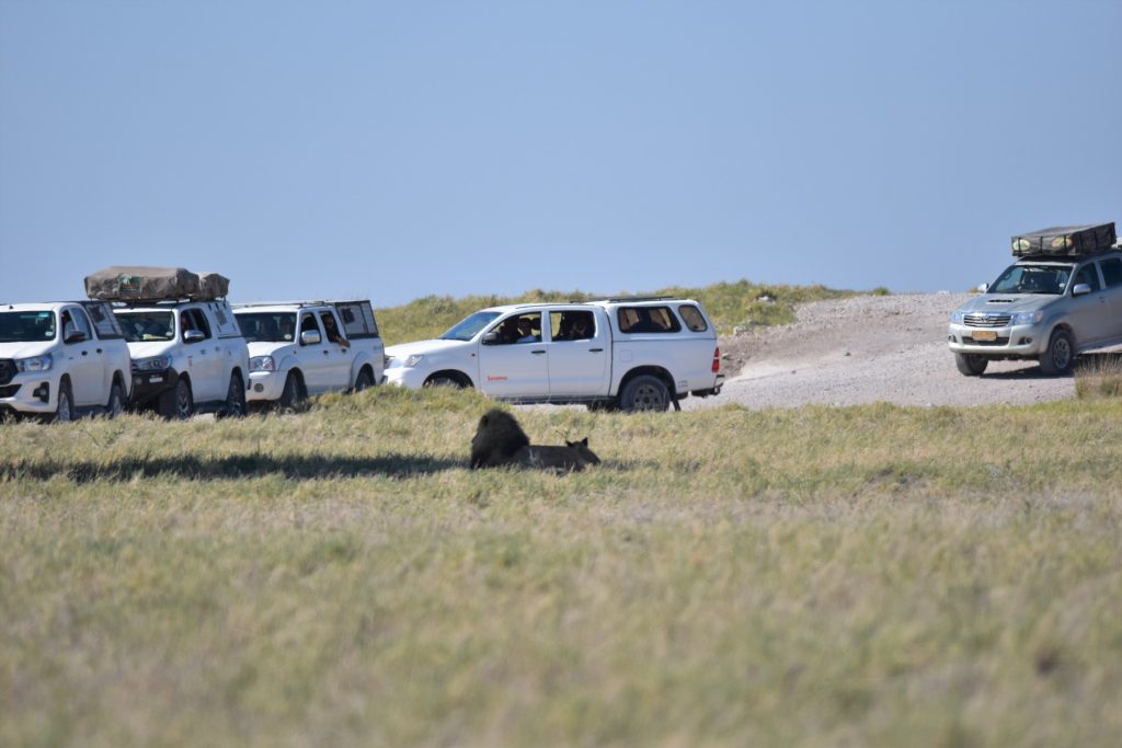 Etosha