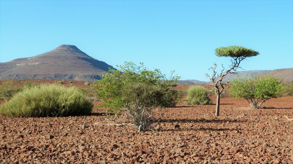 Etendeka Mountain Camp