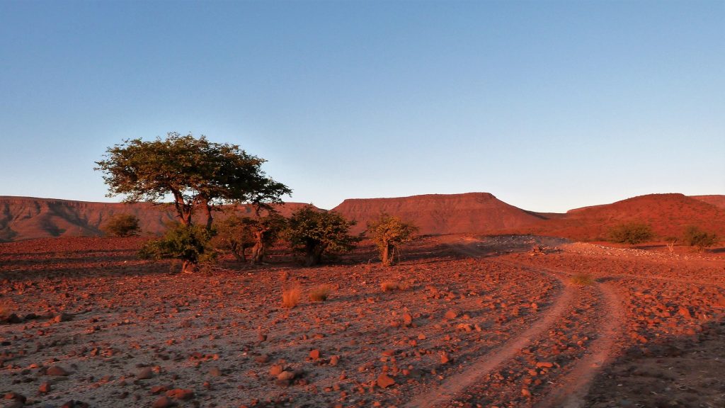 Etendeka Mountain Camp