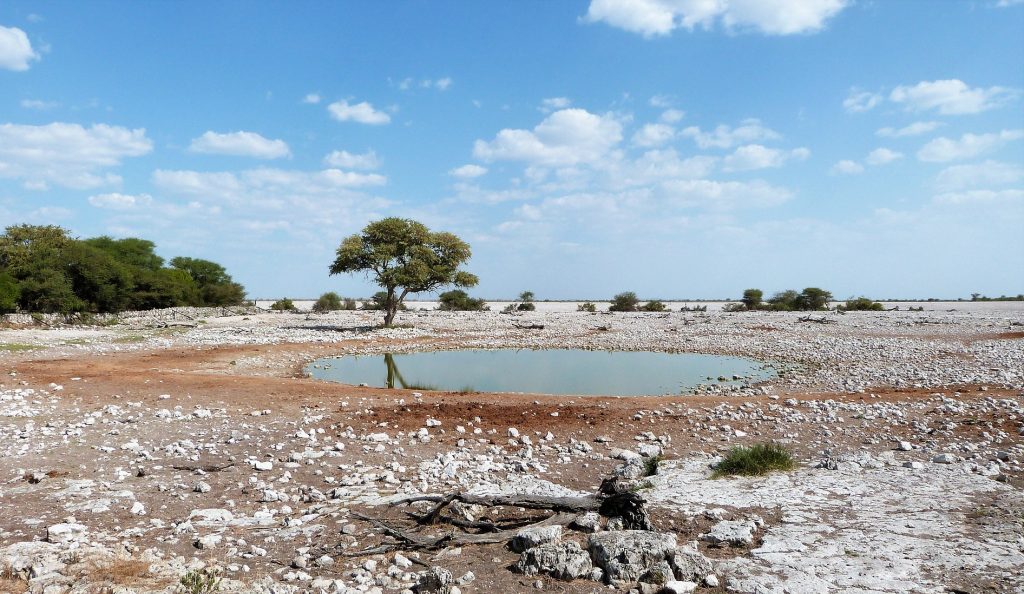 Okaukuejo waterhole