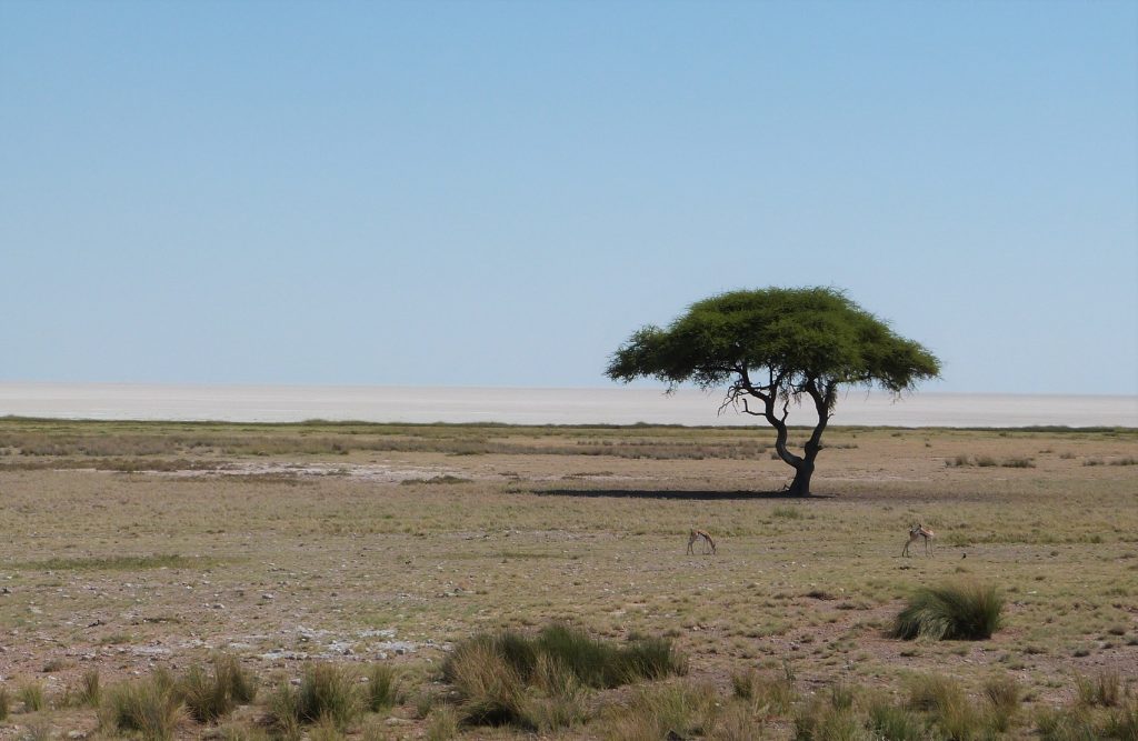 Etosha