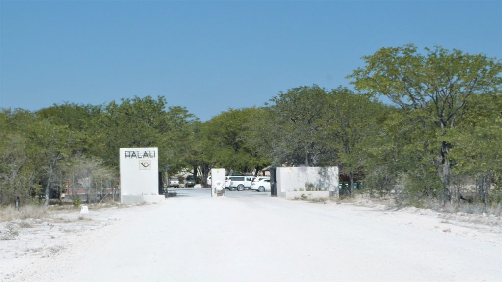 Halali Camp