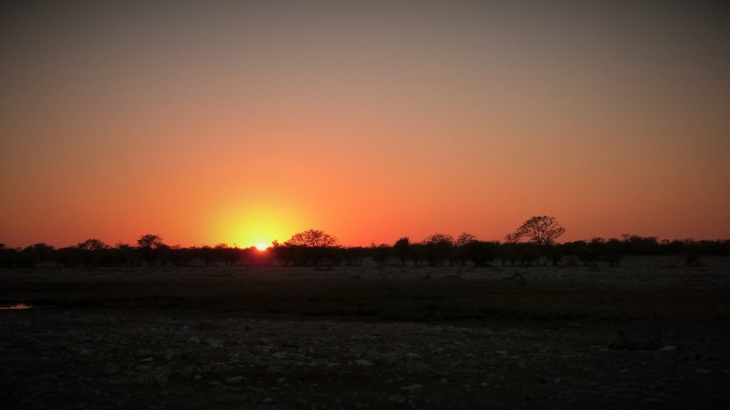 Morning Drive Etosha