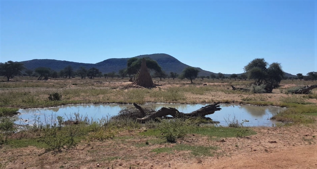 Okonjima plains camp