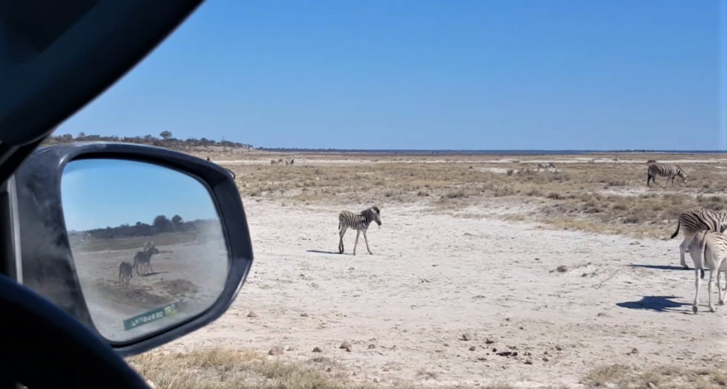 Etosha