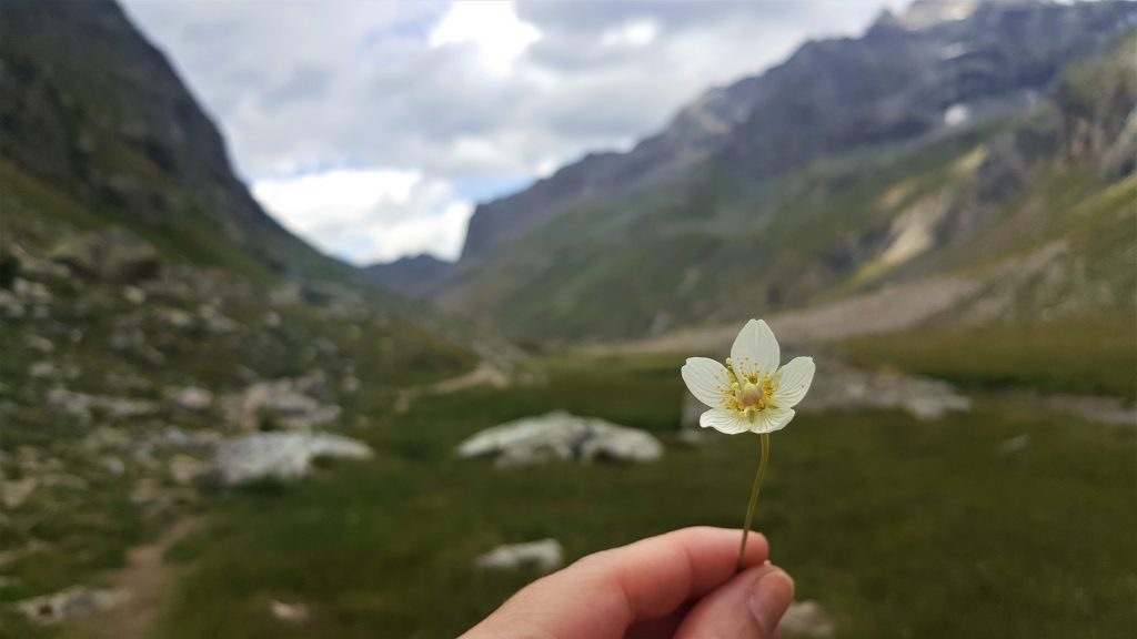 Randonnée du lac de la Plagne