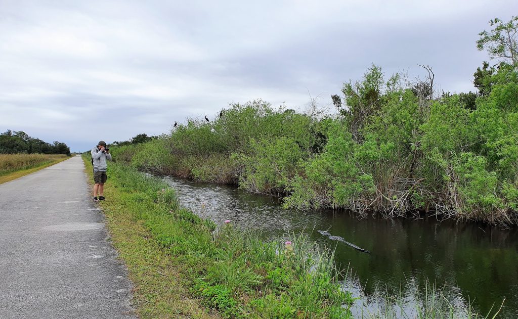 Everglades Shark Valley