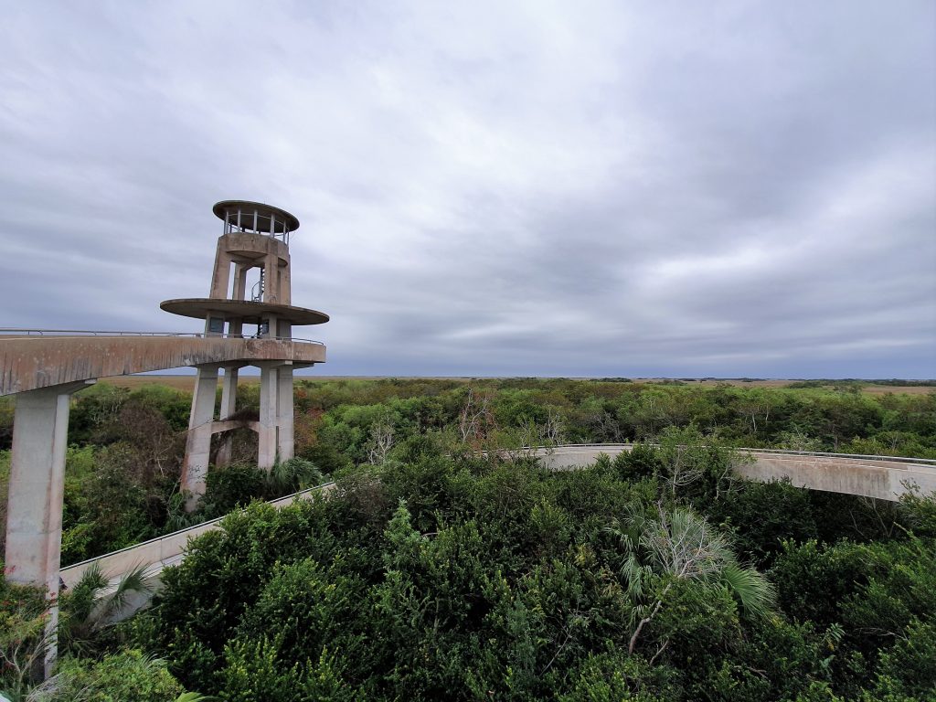 Everglades Shark Valley