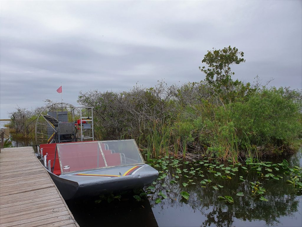 Buffalo Tiger Airboat