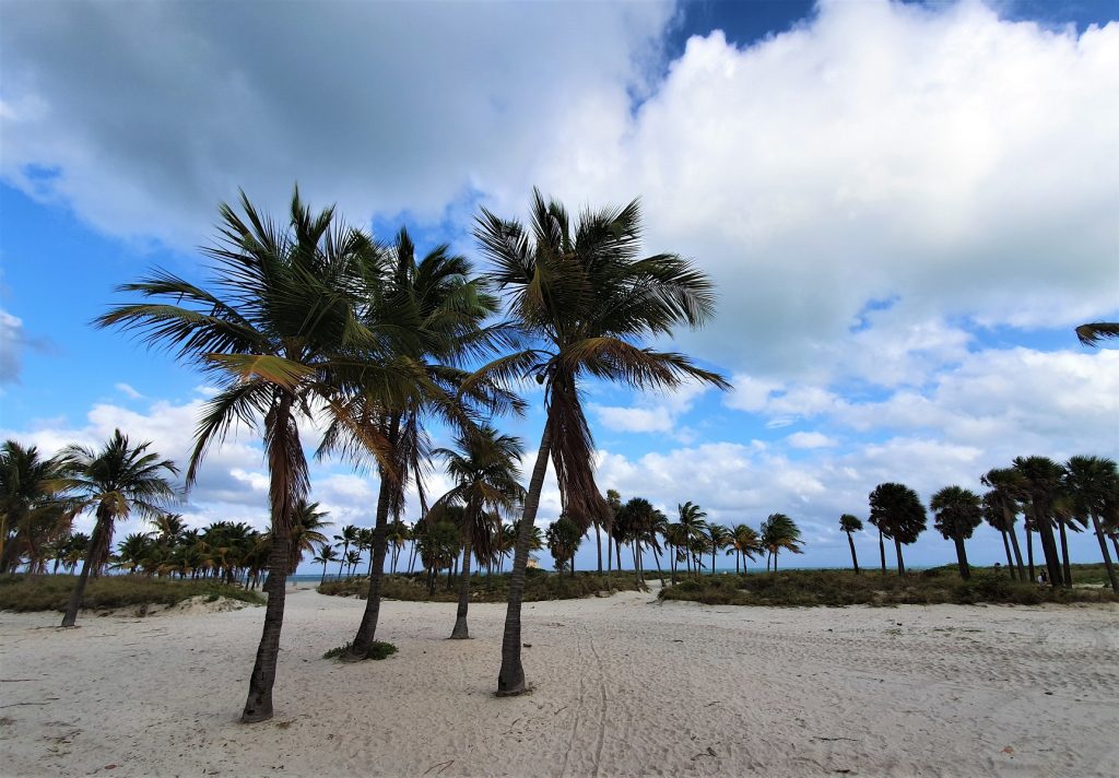 Key Biscayne Crandon Park