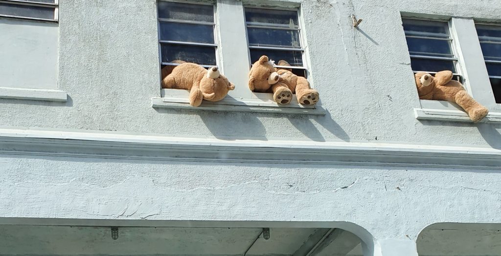 Nounours de Miami