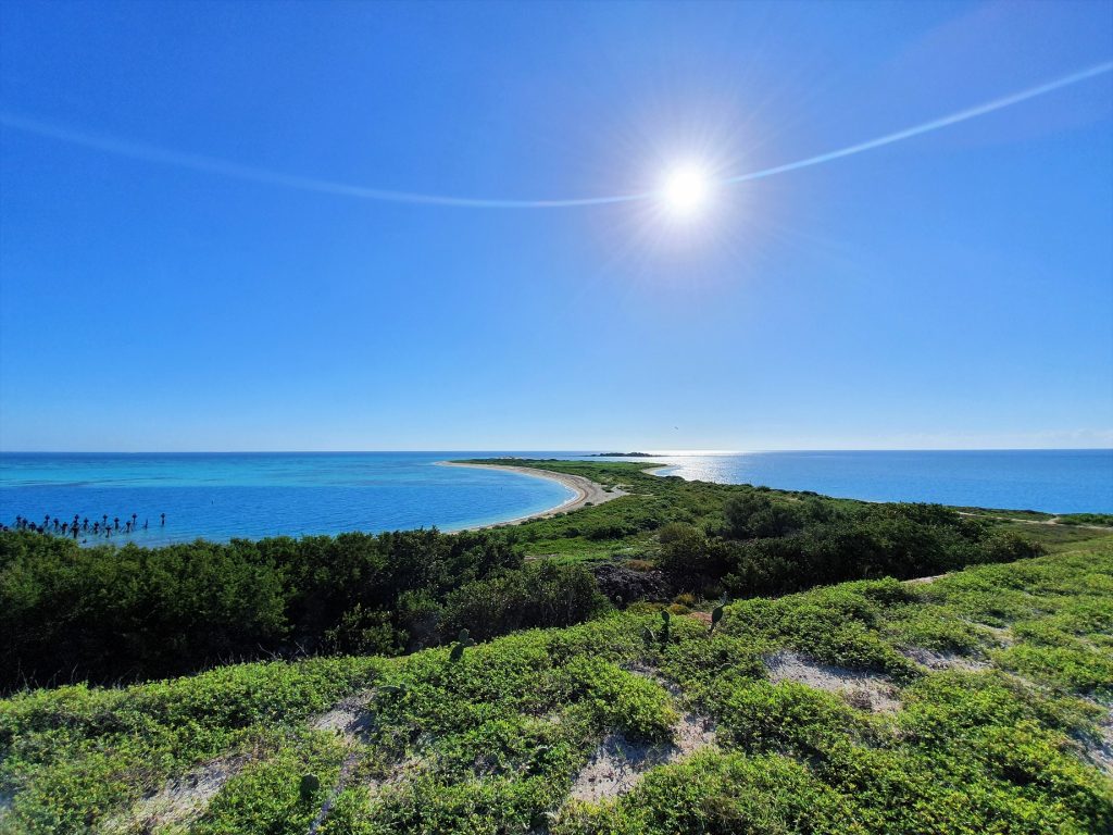 Dry Tortugas