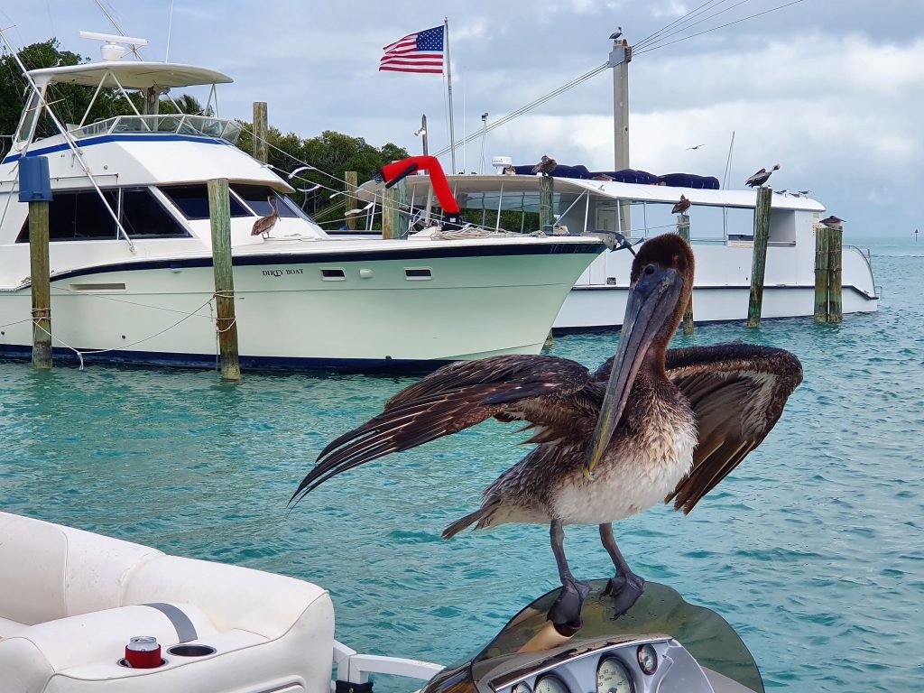 Robbie's Florida Keys