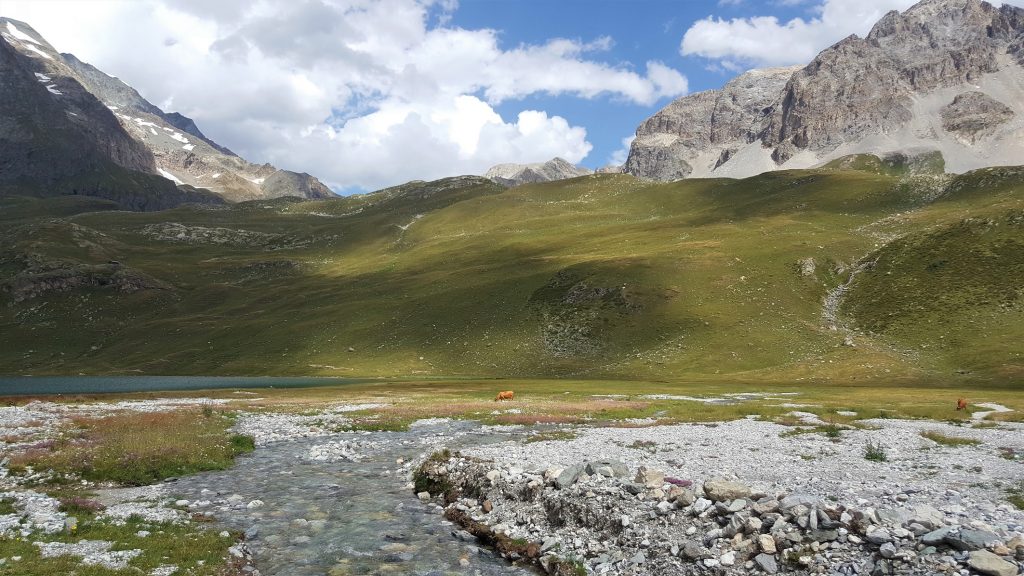 la montagne en été