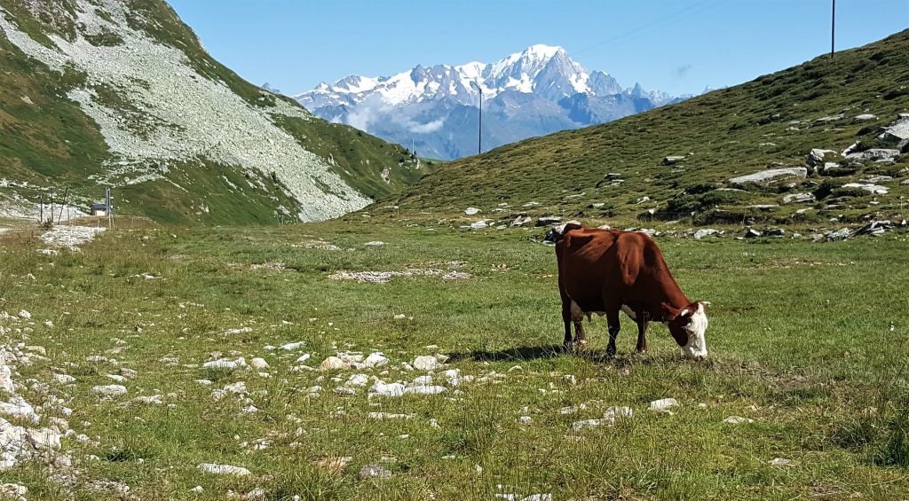 la montagne en été