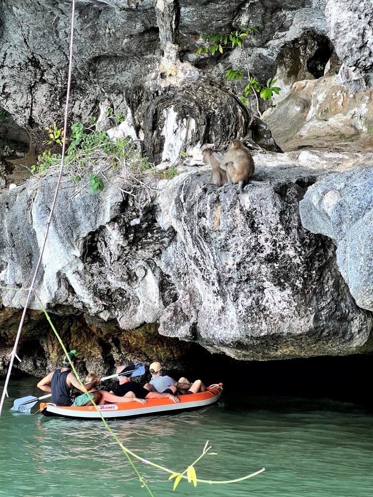 Mangrove Cave