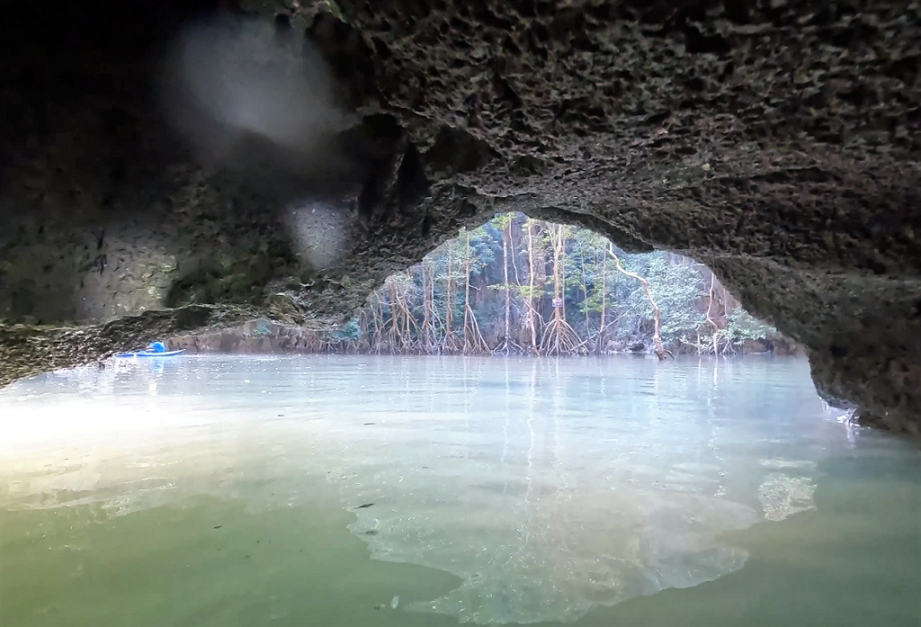 Mangrove Cave